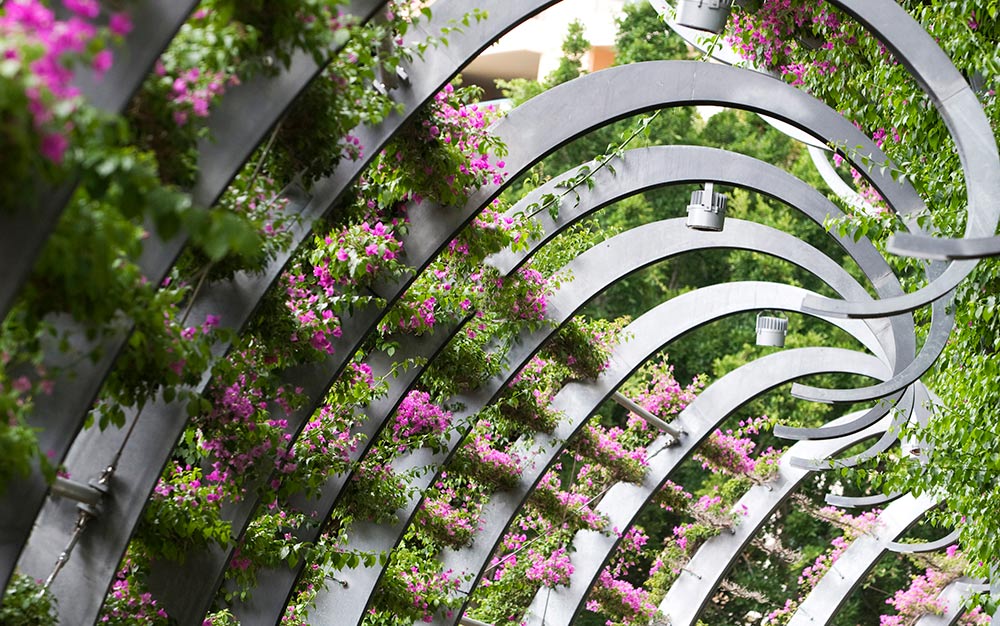 Southbank Arbour - Greening System - Ronstan Tensile Architecture